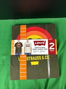 Levi's Boys 2 Pack Short-Sleeve Tees Size XXL Green/Oatmeal - Picture 1 of 1