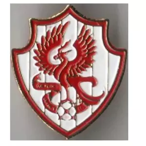 Pin (badge) South Korea Gwangju FC - Picture 1 of 1