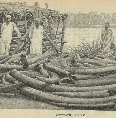 象牙色猎人 Tippu Tub Africa 1889 维多利亚印花 Henry Stanley 第 1 版 DWV1C — 第 1/2 张图片