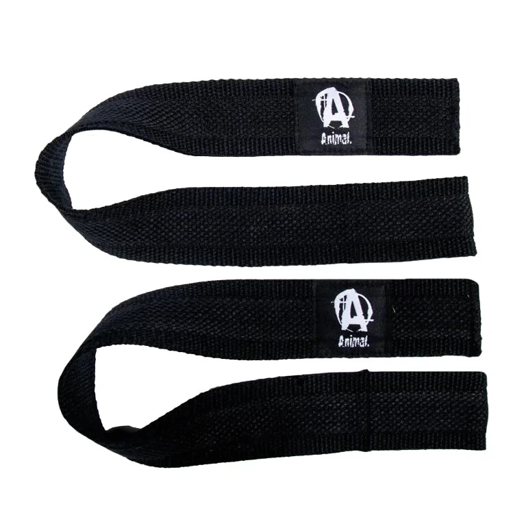 CORREAS DE ELEVACIÓN PROFESIONAL DE ALTA RESISTENCIA PARA ANIMALES NUTRICIÓN UNIVERSAL paquete flex pm estaca m-stak Foto 1 de 1