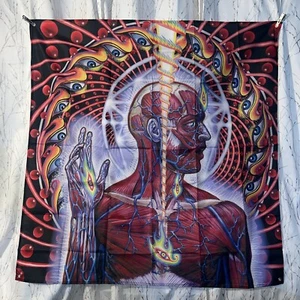 TOOL Lateralus BANNER 3x3 ft VIBRANT FABRIC ALBUM COVER ( ALEX GREY) - Picture 1 of 2