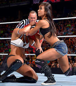 AJ Lee and Nikki Bella WWE Divas 8x10 in Action Photo #18