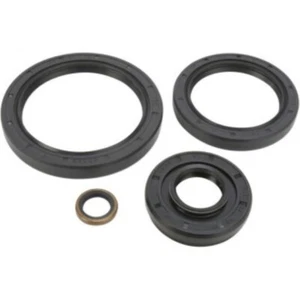 Kit de sellado diferencial de fuerza bruta - Alce 0935-0422 - Todas las bolas - 25-2066-5 - Imagen 1 de 1