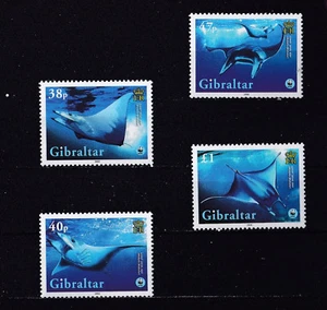 E1192 - Gibraltar 2006 - MNH - Vissen/Fish/Fische (WWF / WNF) - Picture 1 of 1