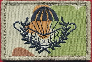 Parachute Rigger (DPCU) (Subdued) Militaria Patch Patches - Picture 1 of 1