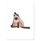 'Cat Cleaning It's Bum' Wall Posters / Prints (Pp038642)