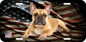 FRENCH BULLDOG CREAM LYING CAN PERSONALIZE NOVELTY METAL LICENSE PLATE H - Picture 1 of 4