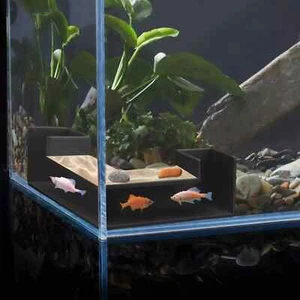 Shrimp Cave Aquarium Decor, Fish Tank Hideout, Shrimp Tunnel, 2 Pack - Picture 1 of 8