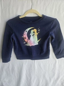 Toddler Disney Frozen Elsa & Anna Sweatshirt size 5T - Picture 1 of 1