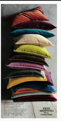 2 Lambswool Beige POTTERY BARN Washed Velvet 100% Cotton Pillow Cover  20x20" - Image 1 of 4