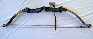 BEAR BRUIN Compound Bow Serial #215604 - Picture 1 of 23
