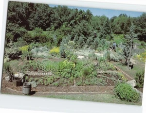 Postcard Garden View Caprilands Coventry Connecticut USA - Picture 1 of 2