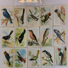 Useful Birds of America 7th 15 Card Set Type 1 Church & Dwight J-9 (3)