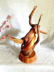 Scultura artistica in legno naturale alla deriva 20"H x 18"W - Foto 1 di 15