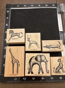Stampin’ Up! In The Wild Wood Mounted Red Rubber Stamp Set. Elephant Giraffe - Picture 1 of 4