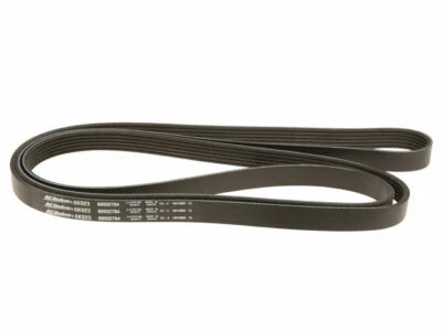 Cinturón multi costilla aire acondicionado Delco 64455QR para Chevrolet Express 2500 2003-2015, 2017-2020 Foto 1 de 2