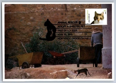 #4453 Animal Rescue Adapt a Pet Cat Calico Cat Maxi Card FDC w/Pictorial Cancel - Image 1 of 2