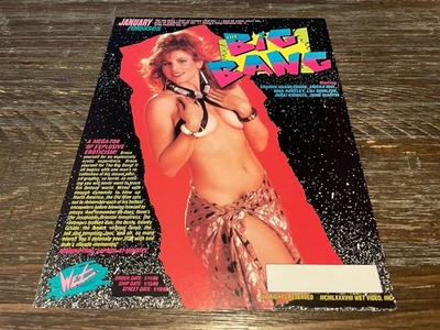 The Big Bang/Afro Erotica 21 8.5 英寸 x 11 英寸成人电影广告光滑 Shanna McCullough — 第 1/2 张图片