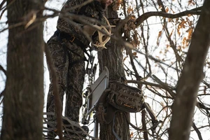 Pro 500 Lumbar Pack Mossy Oak Bottomland - Bild 1 von 1
