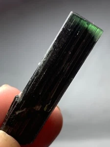 53 Carat Natural Green Cap Tourmaline Crystal From Pakistan - Picture 1 of 12