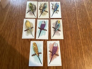 Caperns (Bird Seed) Trade Cards PICTURE AVIARY - CHOOSE THE ONE YOU WANT.in VGC - Picture 1 of 6