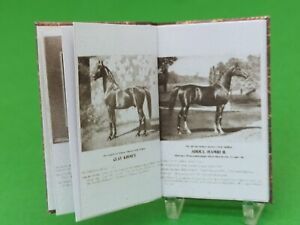  1:12 scale Book , Pure Arabian  (Huntington horses) 1908 Crafted by Ken Blythe