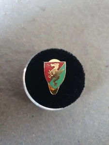 Distintivo calcio TERNANA a piedino marcato PICCHIANI e BARLACCHI - Foto 1 di 2