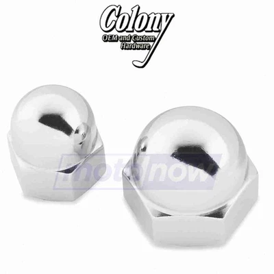 Colony Engine Nut for 1970-1976 Harley Davidson FLH Electra Glide - Engine oa - Изображение 1 из 4