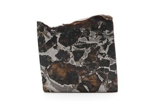 Brahin Pallasite Meteorite 4.6 grams