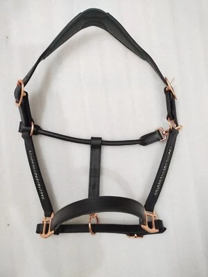 Pferdehalfter aus grünem Kristall & schwarz gepolstertem Leder mit Messingbes... - Bild 1 von 4