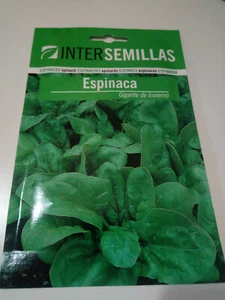 7 g de semillas de Espinaca gigante de invierno en sobre original certificadas - Imagen 1 de 5