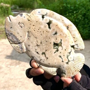 352G Amazing natural marine jasper crystal carving fish jasper aura stone - Picture 1 of 18