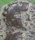 New ListingRoman Provincial ae19 Bronze Coin of Tiberius Tyche Gadara