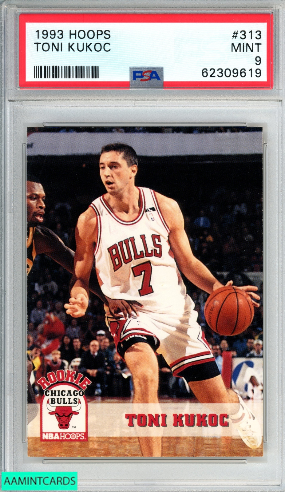 1993 HOOPS TONI KUKOC #313 ROOKIE RC CHICAGO BULLS PSA 9 MINT
