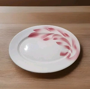 2 VTG Syracuse CHINA 50s Restaurant Ware Pink AirBrush Leaves Serving Oval Plate - Picture 1 of 8