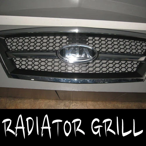 Rejilla de radiador capó delantero original OEM para Kia Sorento 2003-2006 Foto 1 de 1