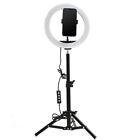 8 inch LED Selfie Ring Light With Tripod Stand For Youtube & Tiktok Live Stream