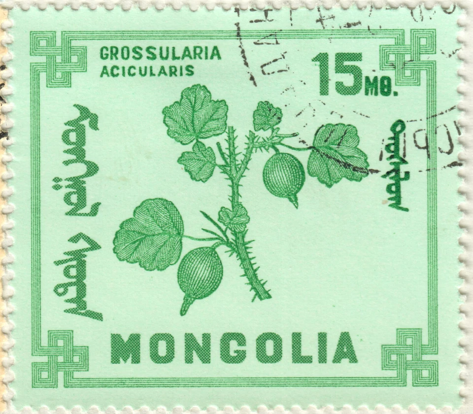 Mongolia - 1968 Mongolian Berries #3 Foto 1 de 1