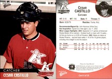 Cesar Castillo 2004 MultiAd Kannapolis Intimidators #4 Card *AutographDen*