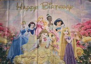 Princess Theme 6x4 Ft. Banner With Party Decorations #5930 For 20 Guest - Picture 1 of 11