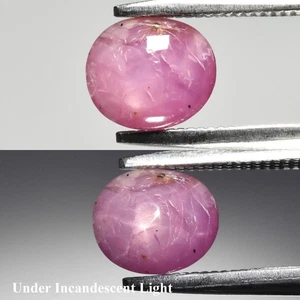 💎 0.94ct Oval Natural Purplish Red 6 Ray Star Ruby - Unheated, Malawi Gemstone - Picture 1 of 6