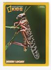 National Geographic Animal & Birds Card. Desert Locust