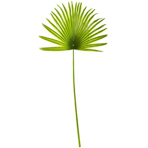 Pianta finta spray palma ventaglio 33’’’ set di 6 decorazioni naturali - Foto 1 di 1