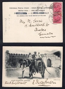 INDIA 1903 Picture Postcard to Quebec Canada. State Elephant, Jeypore - Picture 1 of 3