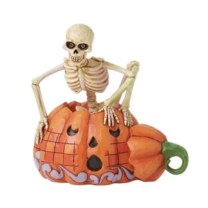 Jim Shore ESQUELETO POP OUT CALABAZA ESTATUILLA - ASUSTADO HASTA LOS HUESOS 6016643 NUEVO 2025 - Imagen 1 de 4