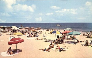Mid Summer Scene on Rehoboth Beach Delaware Postcard Nations Summer Capital - Picture 1 of 2