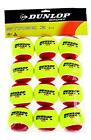 Mini balles de tennis Dunlop Dunlop rouge -DS