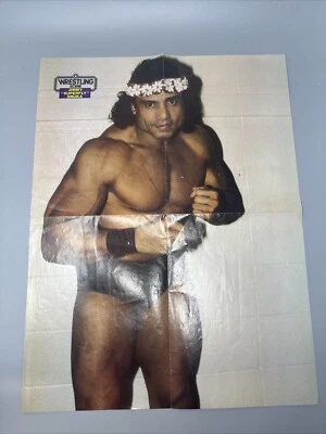 Vtg Wrestling Scene The Freebirds Jimmy Superfly Snuka WWF Poster 21" by 16" - Image 1 of 3