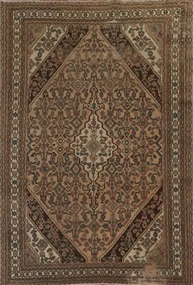 Clearance Semi-Antique Muted Hamedan 6x9 Area Rug Handmade Low Pile Wool Carpet - Image 1 of 4