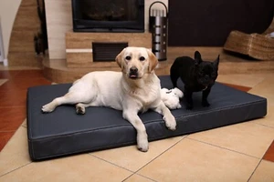 Cuccia letto materasso in eco- pelle per cani gatto - Foto 1 di 4